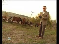 Чорні вершники. Випуск 62