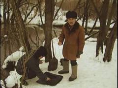 Очманіле золото. Випуск 40