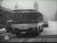 Звіря. Випуск 69